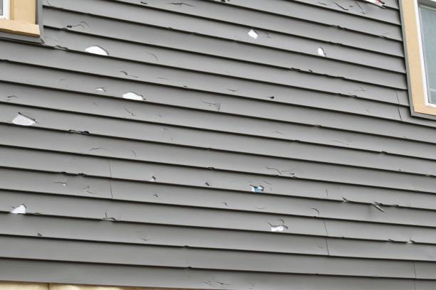 Siding Removal and Disposal in Fremont, IN