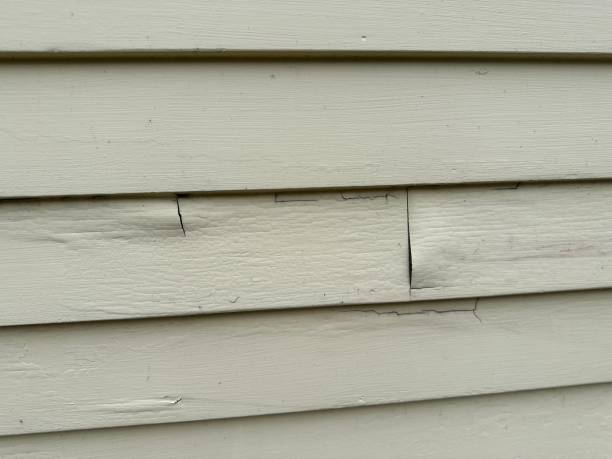 Best Storm Damage Siding Repair  in Fremont, IN